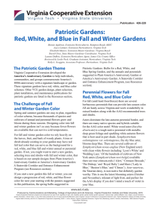 Patriotic Gardens: Red, White, and Blue in Fall and Winter Gardens