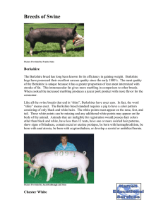 Breeds of Swine - The Judging Connection: Swine Breeds