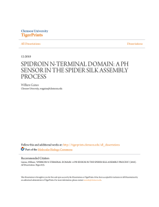 spidroin n-terminal domain: a ph sensor in the spider