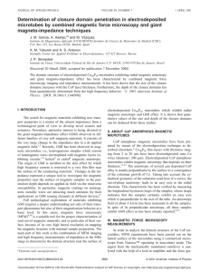 Determination of closure domain penetration in electrodeposited