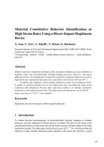 Material Constitutive Behavior Identification at High