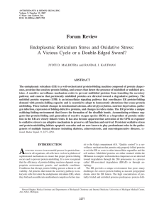 Endoplasmic Reticulum Stress and Oxidative Stress