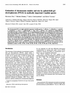 (PFGE) in medically important Candida species