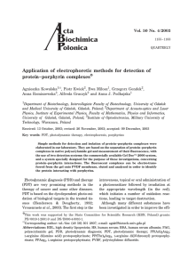 Application of electrophoretic methods for detection of protein