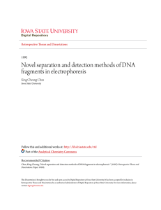 Novel separation and detection methods of DNA fragments in