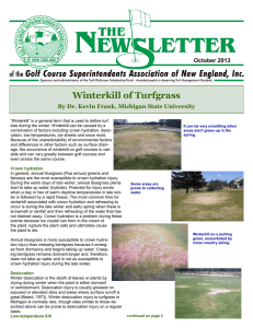Winterkill of Turfgrass - The Golf Course Superintendents