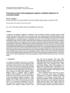 Ecosystem services and management options as blanket indicators