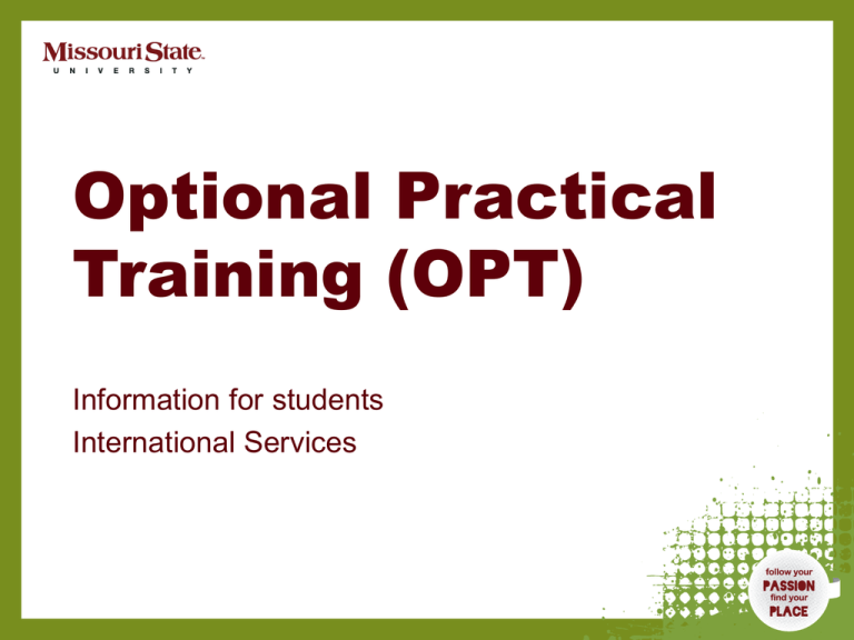 opt-international-programs