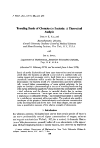 Traveling Bands of Chemotactic Bacteria: A Theoretical Analysis