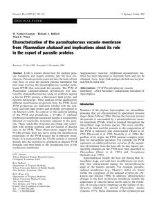 Characterization of the parasitophorous vacuole