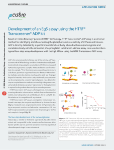 Development of an Eg5 assay using the HTRF