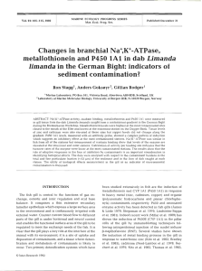 Changes in branchial Na+,K+-ATPase, metallothionein and P450