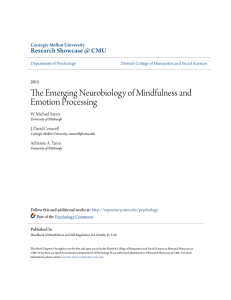 The Emerging Neurobiology of Mindfulness and Emotion Processing