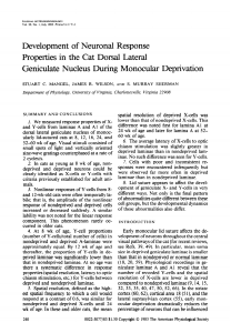 Development of Neuronal Response Properties in the Cat Dorsal