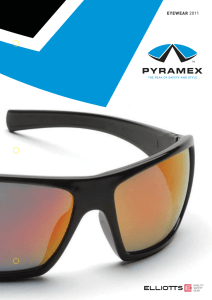 Pyramex Safety Glasses