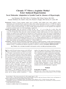 Chronic NG-Nitro-L-Arginine Methyl Ester–Induced