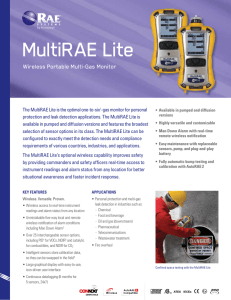 MultiRAE Lite