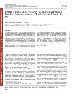 Effects of Spinal Cholecystokinin Receptor Antagonists on Morphine