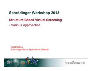 Structure Based Virtual Screening