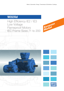 W22Xd High Efficiency IE2 / IE3 Low Voltage Flameproof Motors IEC