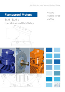 Flameproof Motors