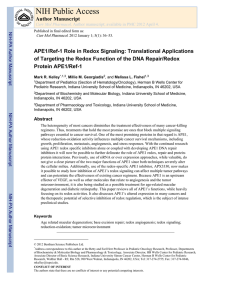APE1/Ref-1 Role in Redox Signaling: Translational