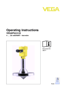 Operating Instructions - VEGAPULS 63 - 4 ? 20 mA/HART