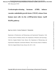 Corticotropin-releasing hormone induces vascular endothelial