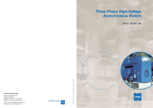 Three-Phase High-Voltage Asynchronous Motors