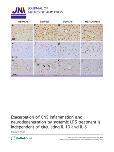 Exacerbation of CNS inflammation and neurodegeneration by