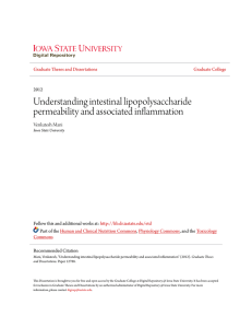 Understanding intestinal lipopolysaccharide permeability
