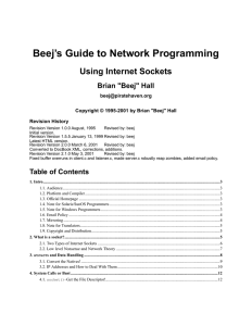 Beej`s Guide to Network Programming