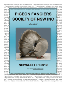 pigeon fanciers society of nsw inc - Pigeon Fancier Society of NSW