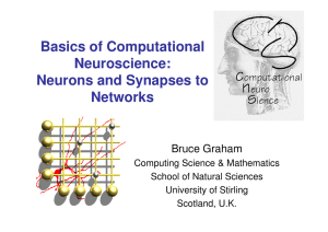 Basics of Computational Neuroscience: Neurons and Synapses to