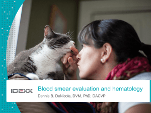 Blood smear evaluation and hematology