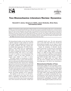 Tree Biomechanics Literature Review: Dynamics