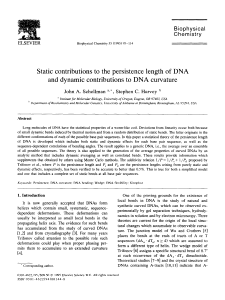 Static contributions to the persistence length of DNA and dynamic