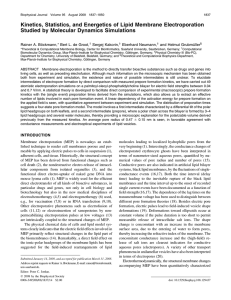 Kinetics, Statistics, and Energetics of Lipid Membrane