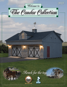 The Condor Collection - All American Wholesalers