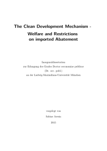 The Clean Development Mechanism - Welfare and Restrictions on