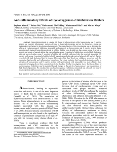 Anti-inflammatory Effects of Cyclooxygenase