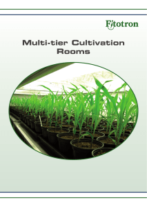 MCR Multi-tier Cultivation Rooms
