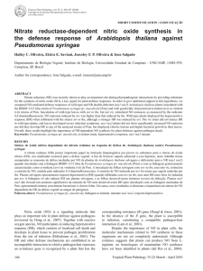 Nitrate reductase-dependent nitric oxide synthesis in the