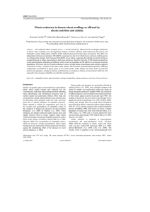 Nitrate reductase in durum wheat seedlings as affected by nitrate