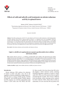 Effects of cold and salicylic acid treatments on nitrate reductase