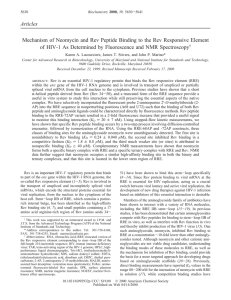 Articles Mechanism of Neomycin and Rev Peptide Binding to the