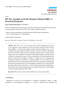 HIV Rev Assembly on the Rev Response Element (RRE): A