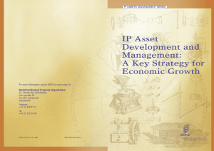 IP Asset Development and Management