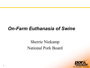 On-Farm Euthanasia of Swine
