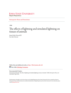 The effects of lightning and simulated lightning on tissues of animals